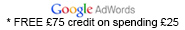 Google Adwords Credit